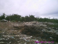 /album/fotos-tristes/lix%c3%a3o-jpg1/